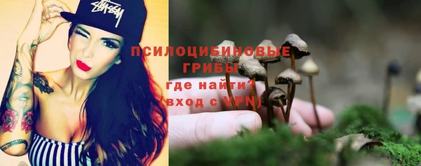ALPHA PVP Богданович