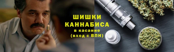 гидра Белокуриха